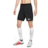 Bermuda Esportiva Dri-Fit Park 3 Nike Masculina Preto