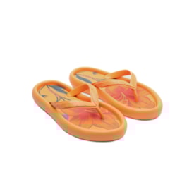 Chinelo Farm Canoa Print Laranja California