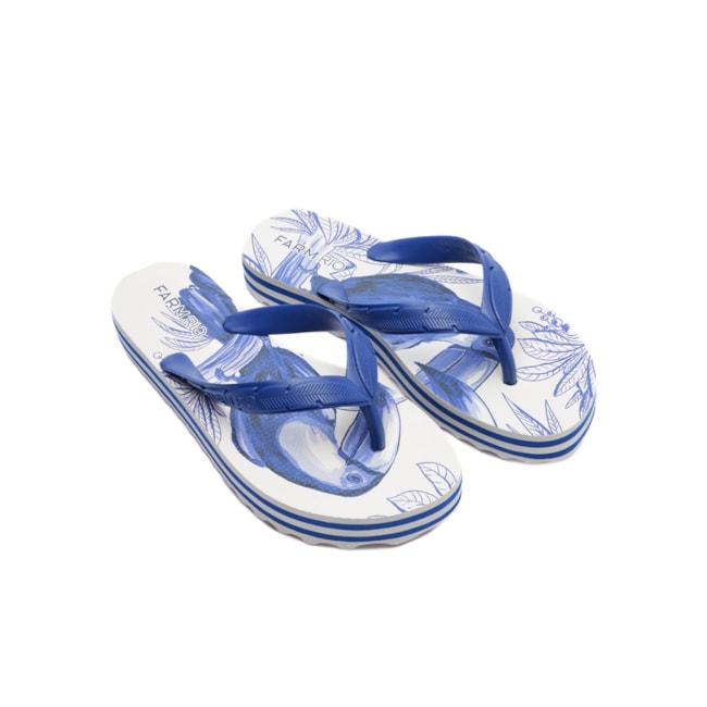 Chinelo Farm Rainbow Rio Azul Mar