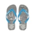 Chinelo Havaianas Top Warner Logomania Unissex Branco e Azul