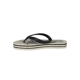 Chinelo Rainbow Farm Preto