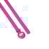 Cinto Fino Luz Camila Feminino Pink