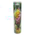 Garrafa Verão 750Ml Farm Feminina Verde