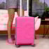 Mala Petite Jolie Feminina Pink