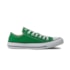 Tênis Casual Converse All Star Chuck Taylor Seasonal Unissex Floresta